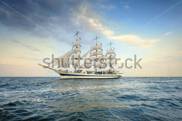  артикул 10025533