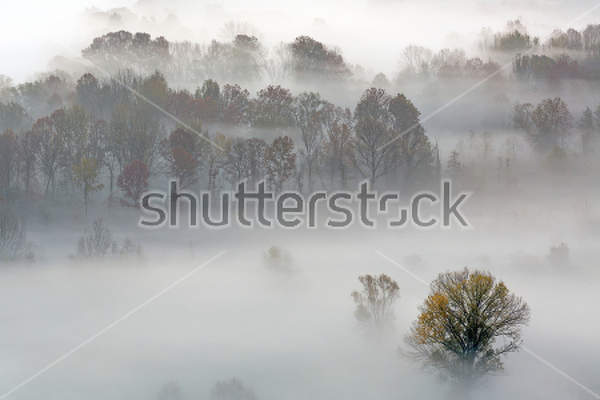  артикул 10025458
