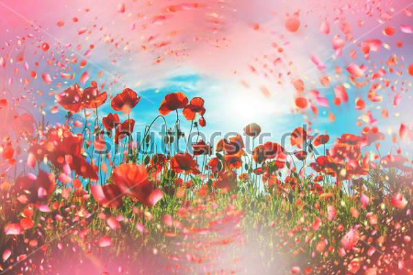  артикул 10025661