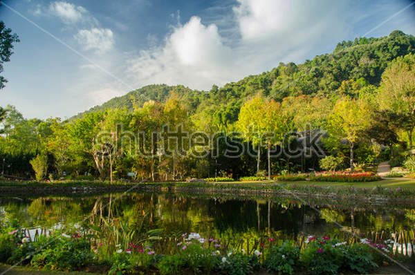  артикул 10025641