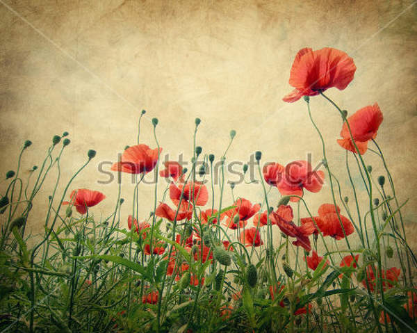  артикул 10025670