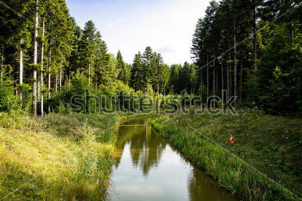  артикул 10025627