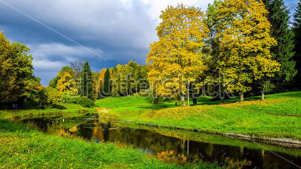  артикул 10025645