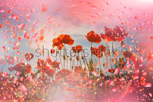  артикул 10025671