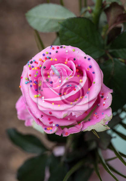  артикул 10025900