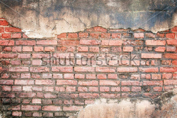  артикул 10025756