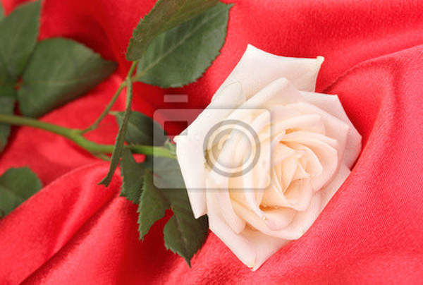  артикул 10025776