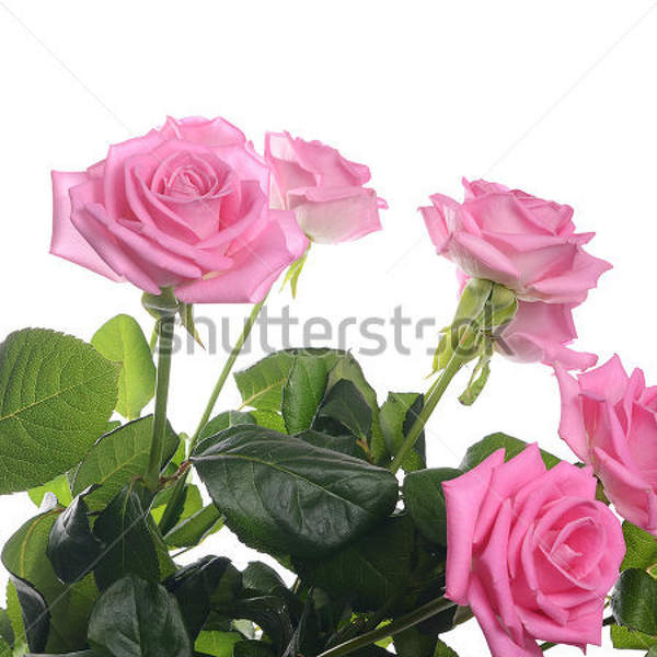  артикул 10025868