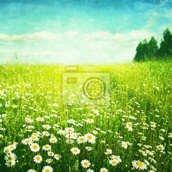  артикул 10025812