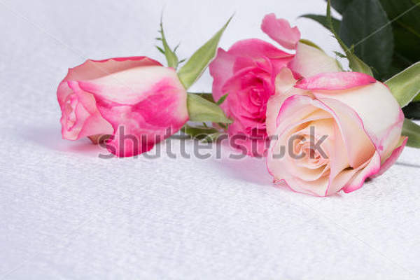  артикул 10025883