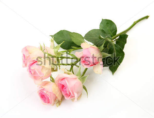  артикул 10025867