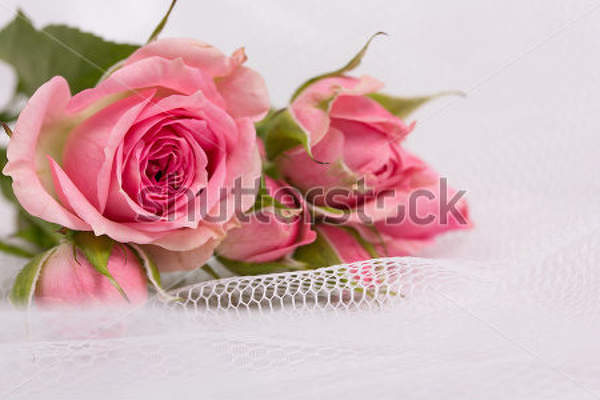  артикул 10025881
