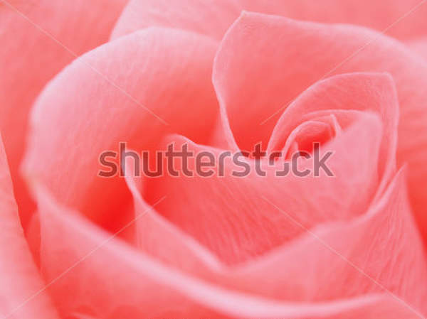  артикул 10025962
