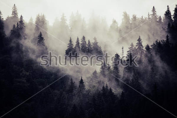  артикул 10025922
