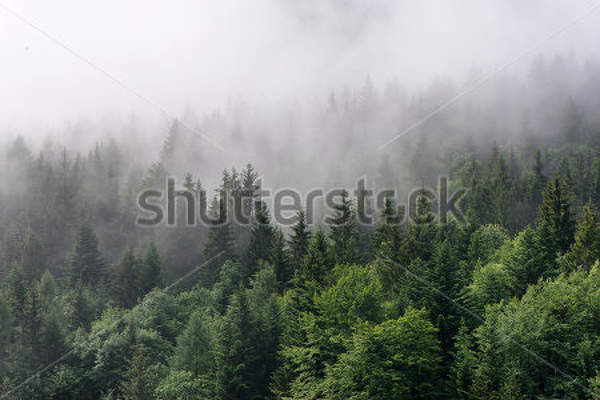  артикул 10026108