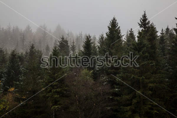  артикул 10026114