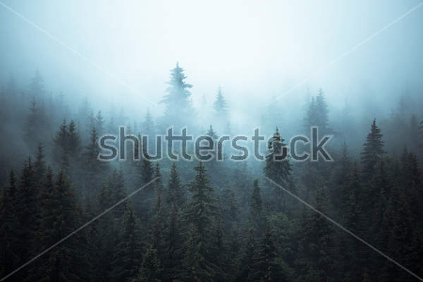  артикул 10026142
