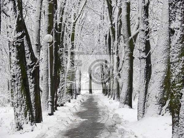  артикул 10026159