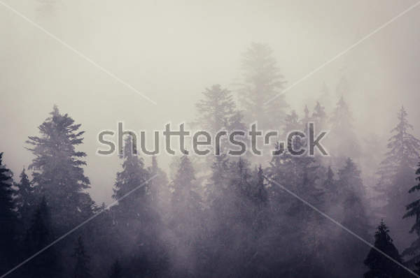  артикул 10026099