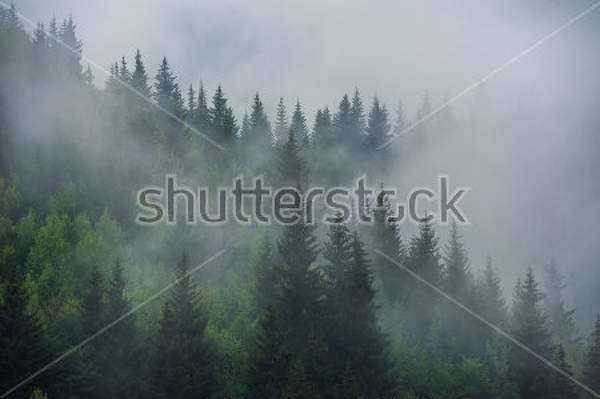  артикул 10026010