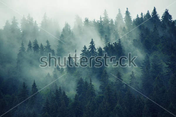  артикул 10026137