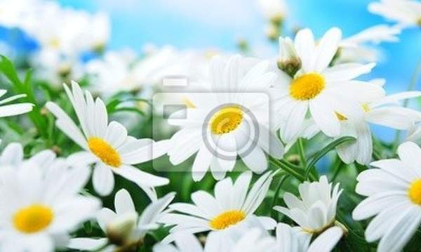  артикул 10026559