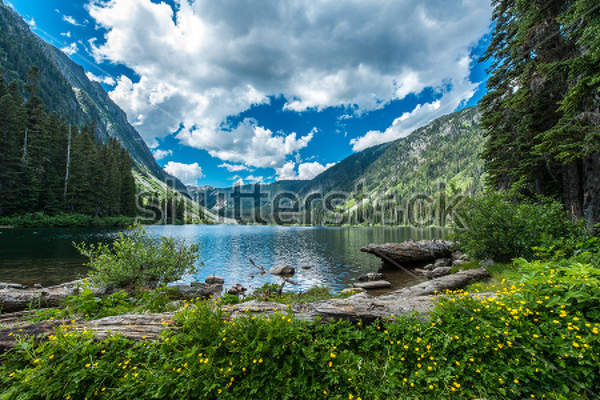  артикул 10026854