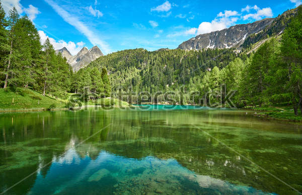  артикул 10026855