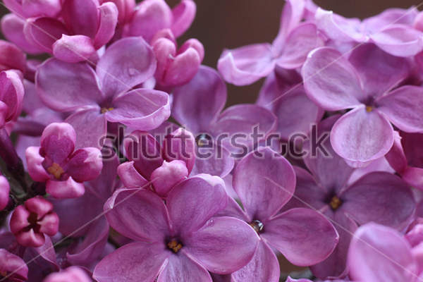  артикул 10026913