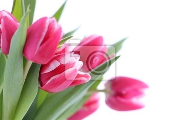  артикул 10027688