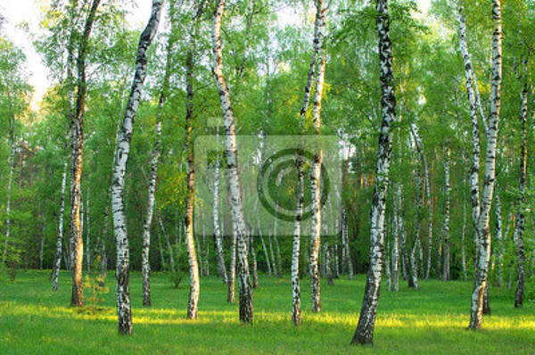  артикул 10027761