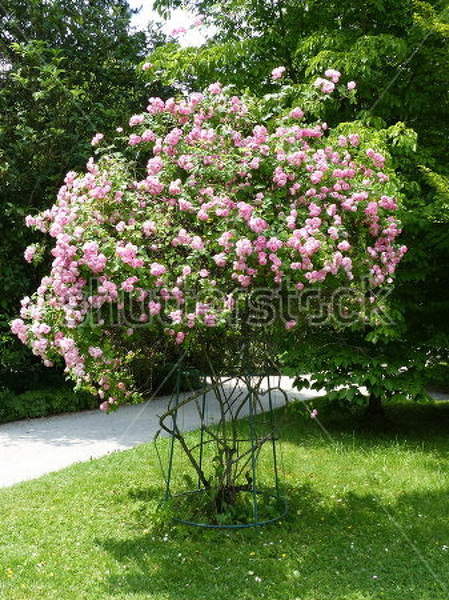  артикул 10027901