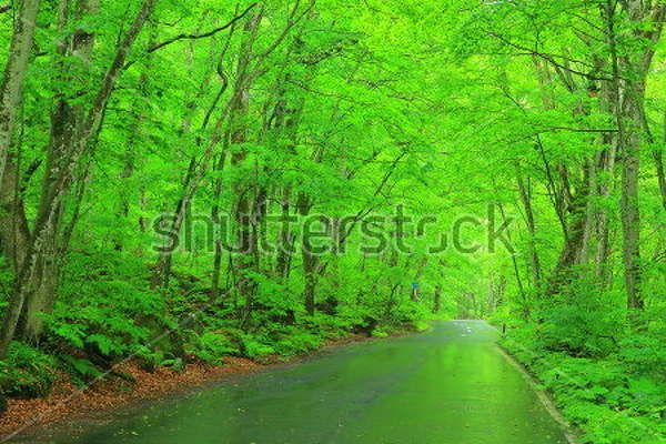  артикул 10027903