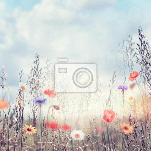  артикул 10027757