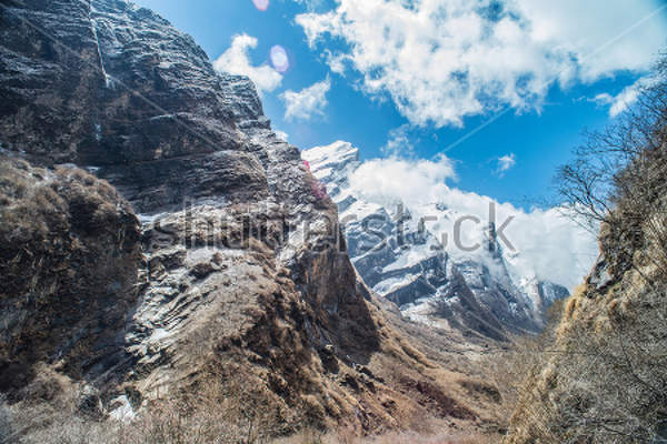  артикул 10027738