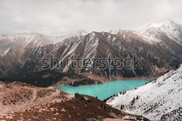  артикул 10027737