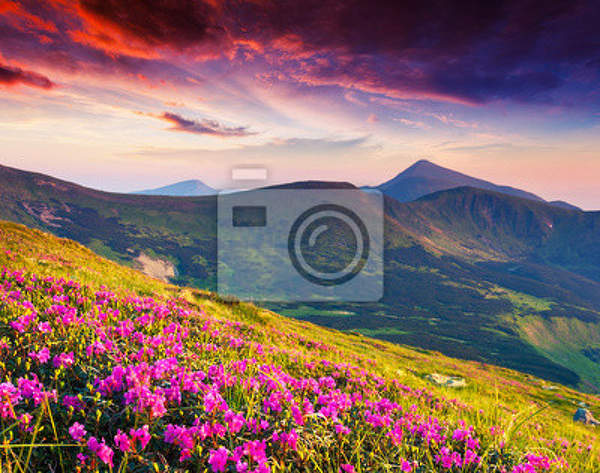  артикул 10027729