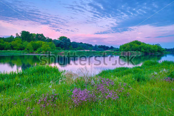  артикул 10027911