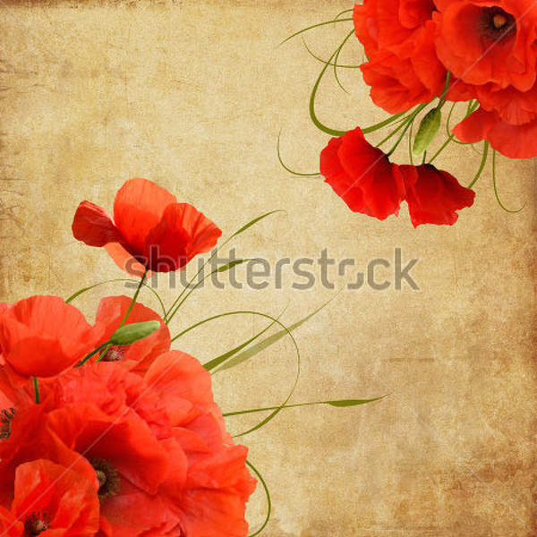  артикул 10027923