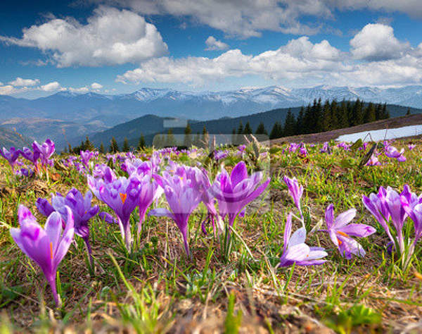  артикул 10027959