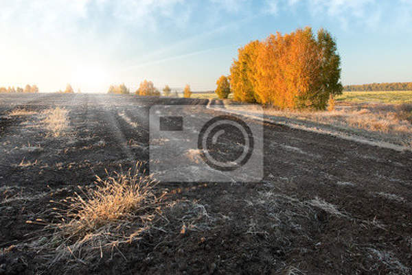  артикул 10027966