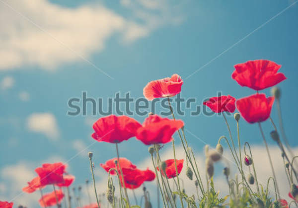  артикул 10027928