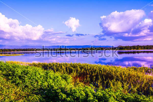 артикул 10027910