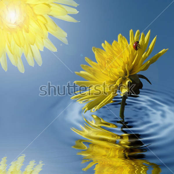  артикул 10028035