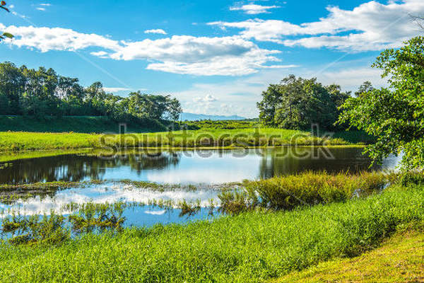  артикул 10028244