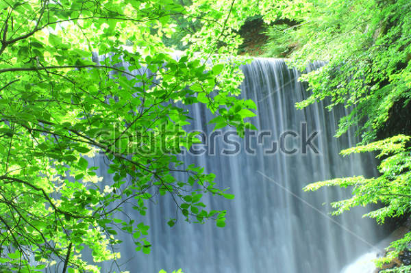  артикул 10028307