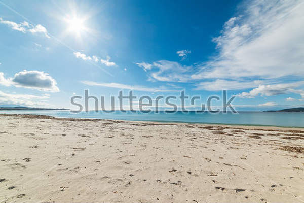  артикул 10028326