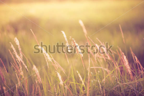  артикул 10028565