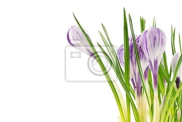  артикул 10028738