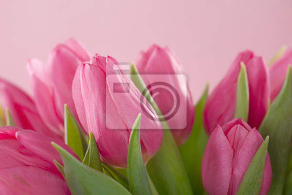 артикул 10028872